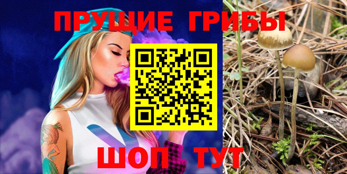 Псилоцибиновые грибы мицелий  Вход с VPN  Великие Луки  Галлюциногенные грибы Magic Shrooms 